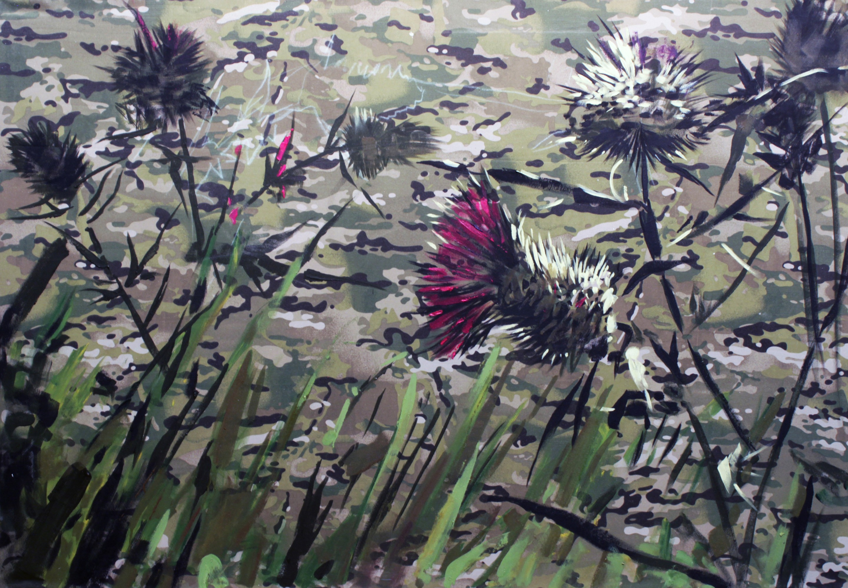Ed Potapenkov, Thistles Ed Potapenkov, Thistles