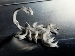 Photography, Another meringue scorpion, Sofia Alazraki