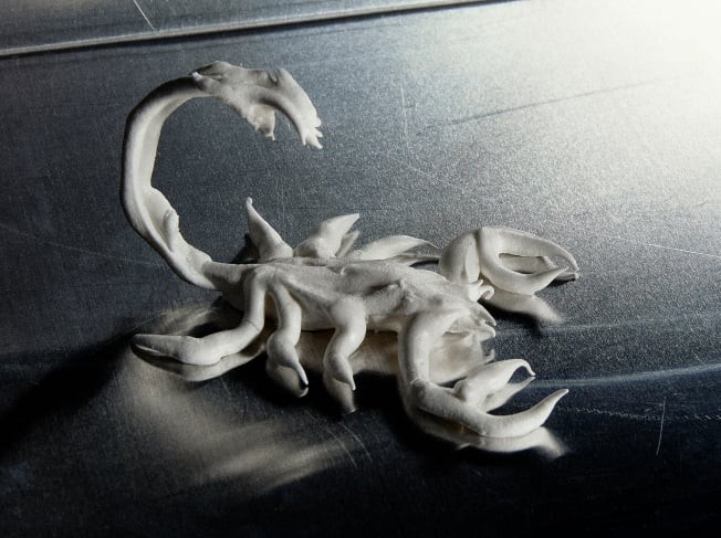 Sofia Alazraki, Another meringue scorpion Sofia Alazraki, Another meringue scorpion