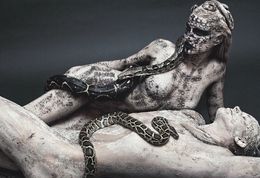 Photography, Predators, Eric Ouaknine