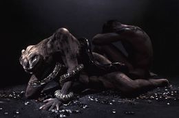 Photography, Turned Into The Wild, Eric Ouaknine