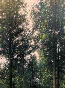 Gemälde, Paysage romantique, Benoît Trimborn