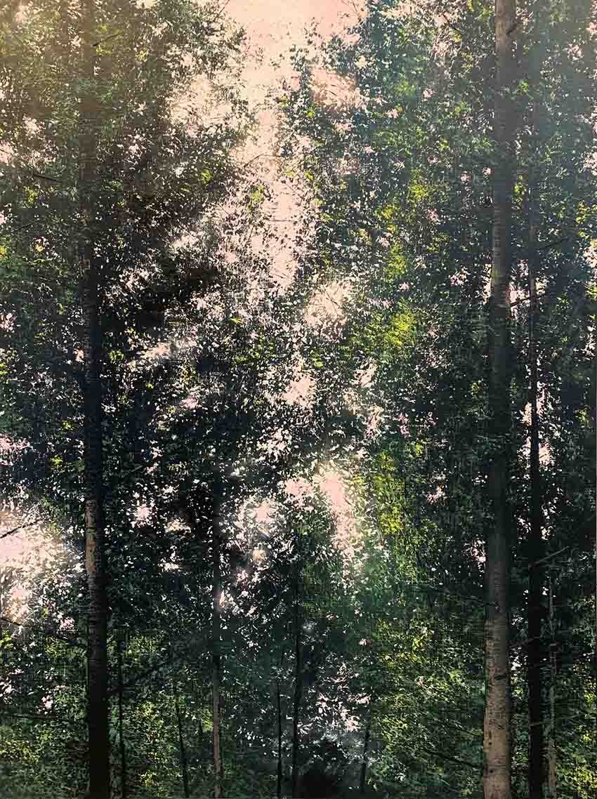 Benoît Trimborn, Paysage romantique Benoît Trimborn, Paysage romantique