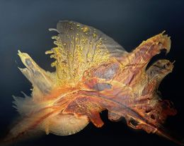 Painting, Gold Magic, Clara Berta