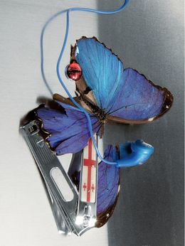 Photography, Magic and timing, Sofia Alazraki