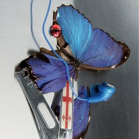 Photographie, Magic and timing, Sofia Alazraki
