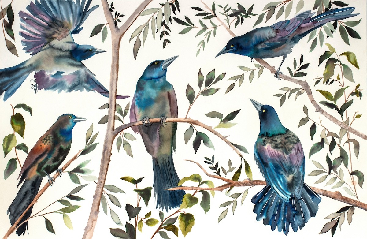 Elizabeth Becker, Grackles No. 2 Elizabeth Becker, Grackles No. 2