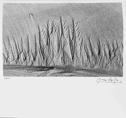 Photography, Sans titre, de la série Langage des sables, Lucien Clergue