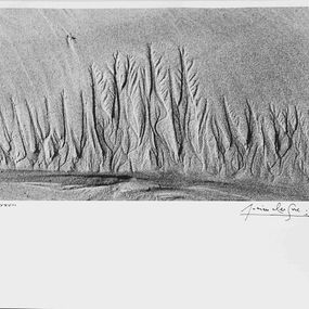 Fotografien, Sans titre, de la série Langage des sables, Lucien Clergue