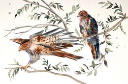 Painting, Red-Tailed Hawks No. 2, Elizabeth Becker