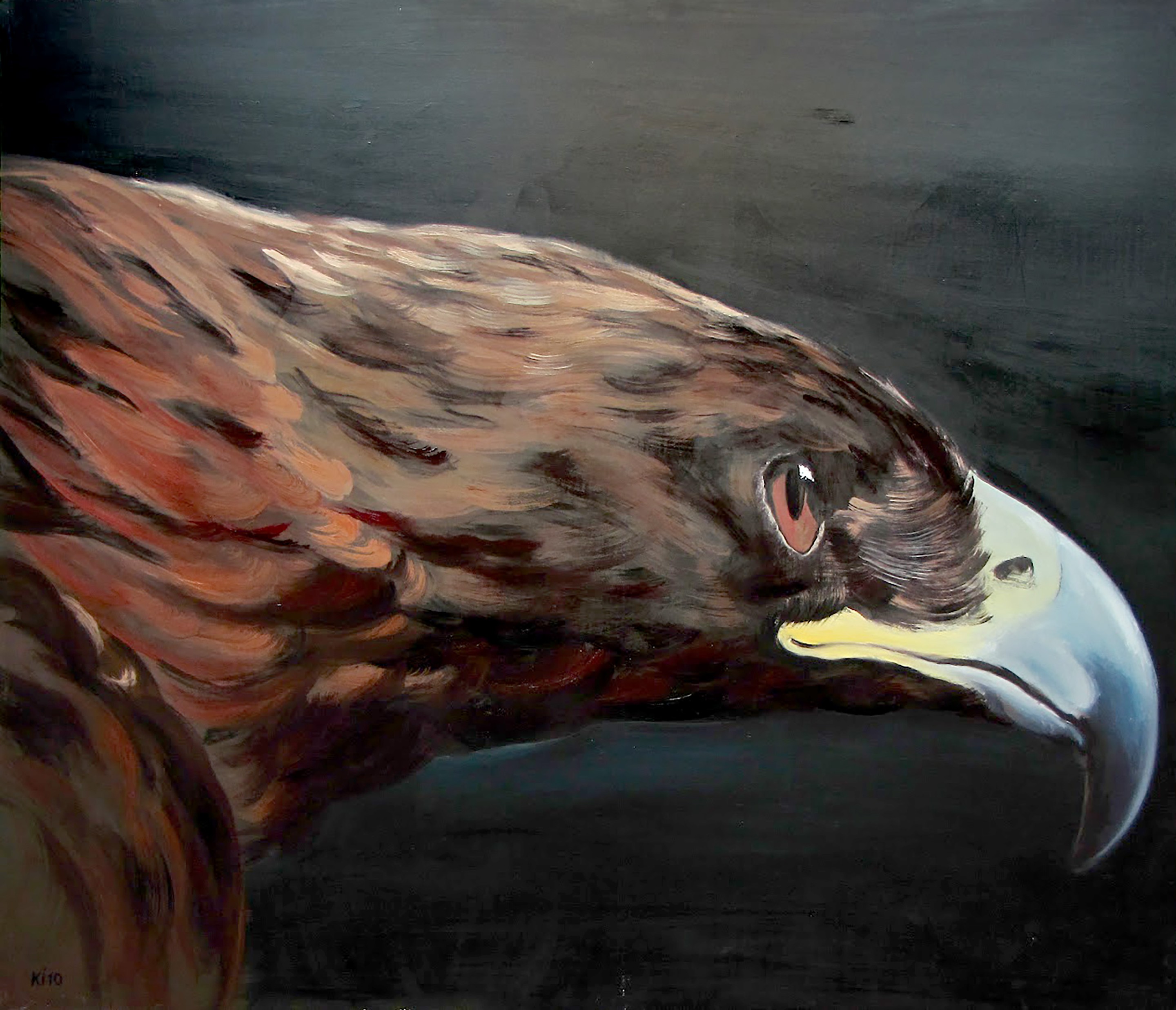 Konovalov Igor, Eagle Konovalov Igor, Eagle