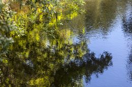 Photography, Reflections II, Daniel Mansur