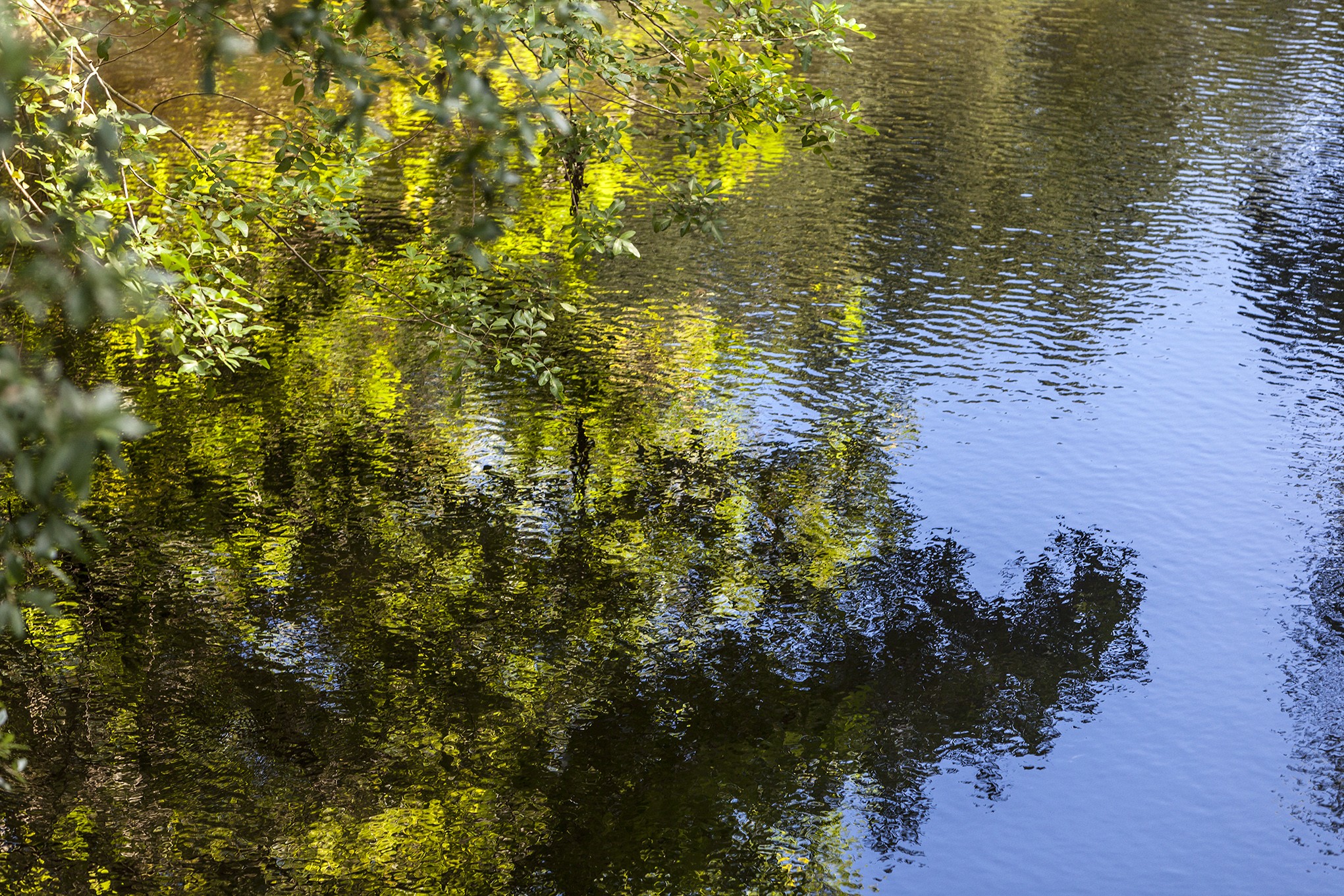 Daniel Mansur, Reflections II Daniel Mansur, Reflections II