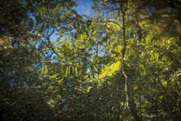 Photography, Reflections I, Daniel Mansur