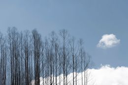 Photography, Cumulus, Daniel Mansur