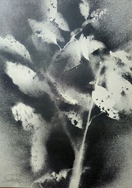 Gemälde, RF1, Stefano Mazzolini
