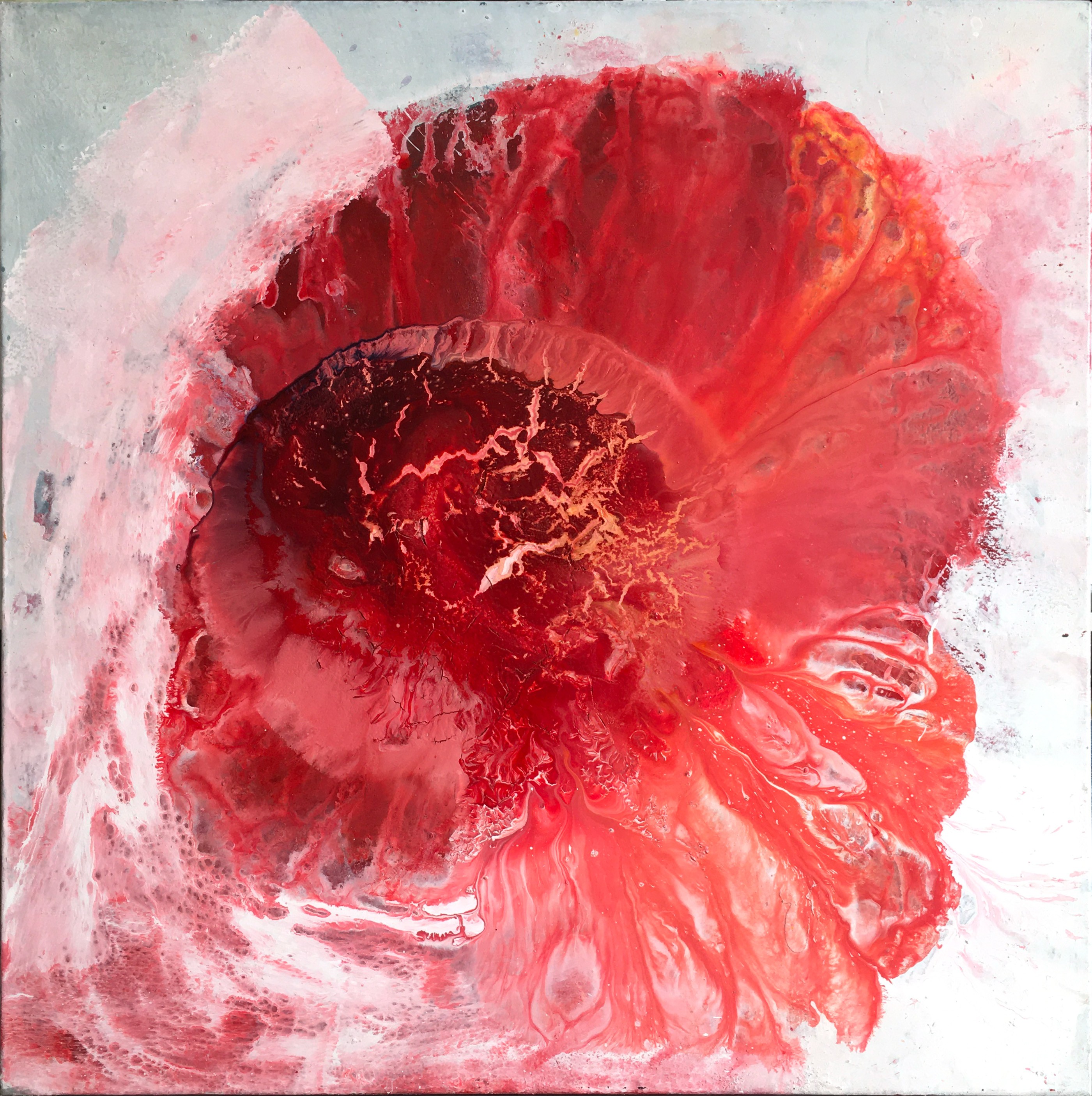 Isabelle Marie, Fleur rouge 4 Isabelle Marie, Fleur rouge 4