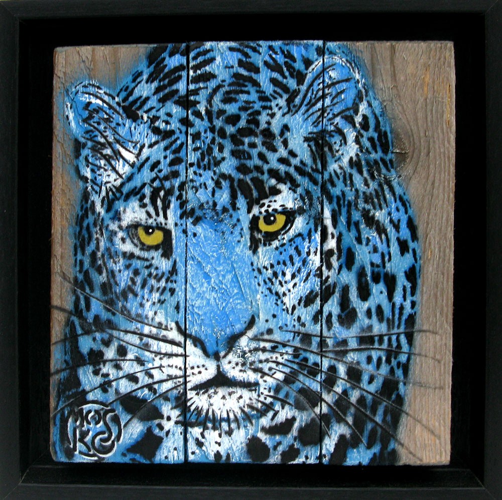 Mosko, Leopard bleu de face Mosko, Leopard bleu de face