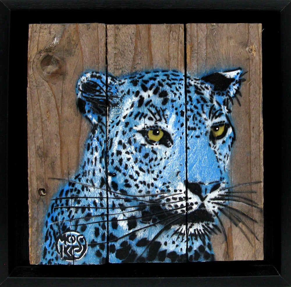 Mosko, Profil leopard bleu Mosko, Profil leopard bleu