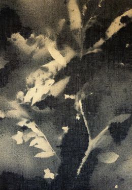 Gemälde, RF5, Stefano Mazzolini