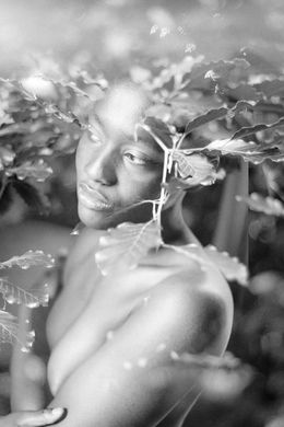 Fotografien, Tree Brain, Clara Diebler