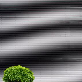 Fotografien, Solitare, Marcus Cederberg