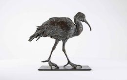 Skulpturen, Ibis, Chesade