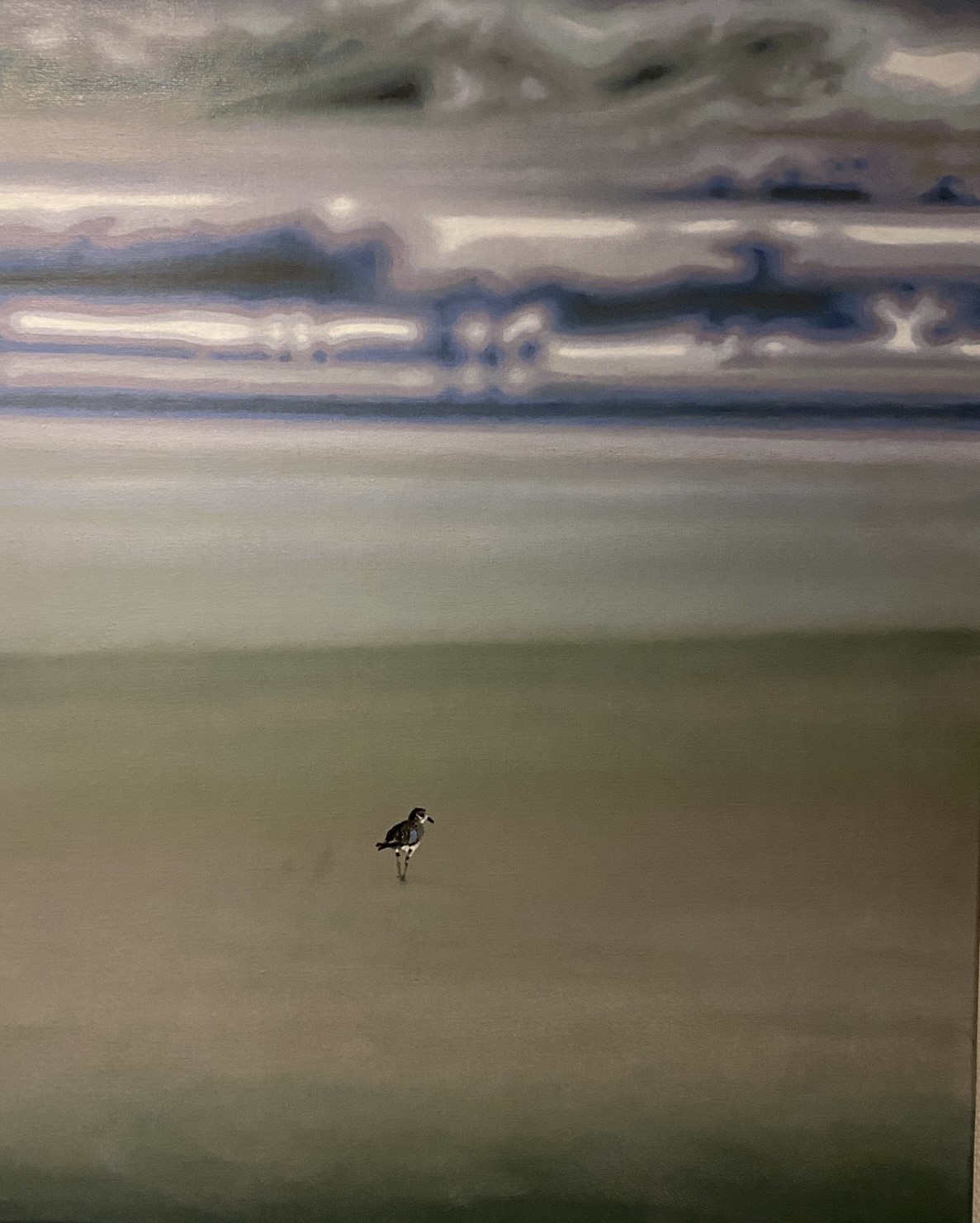 Marko Klomp, Left Behind III - The Sandpiper Marko Klomp, Left Behind III - The Sandpiper