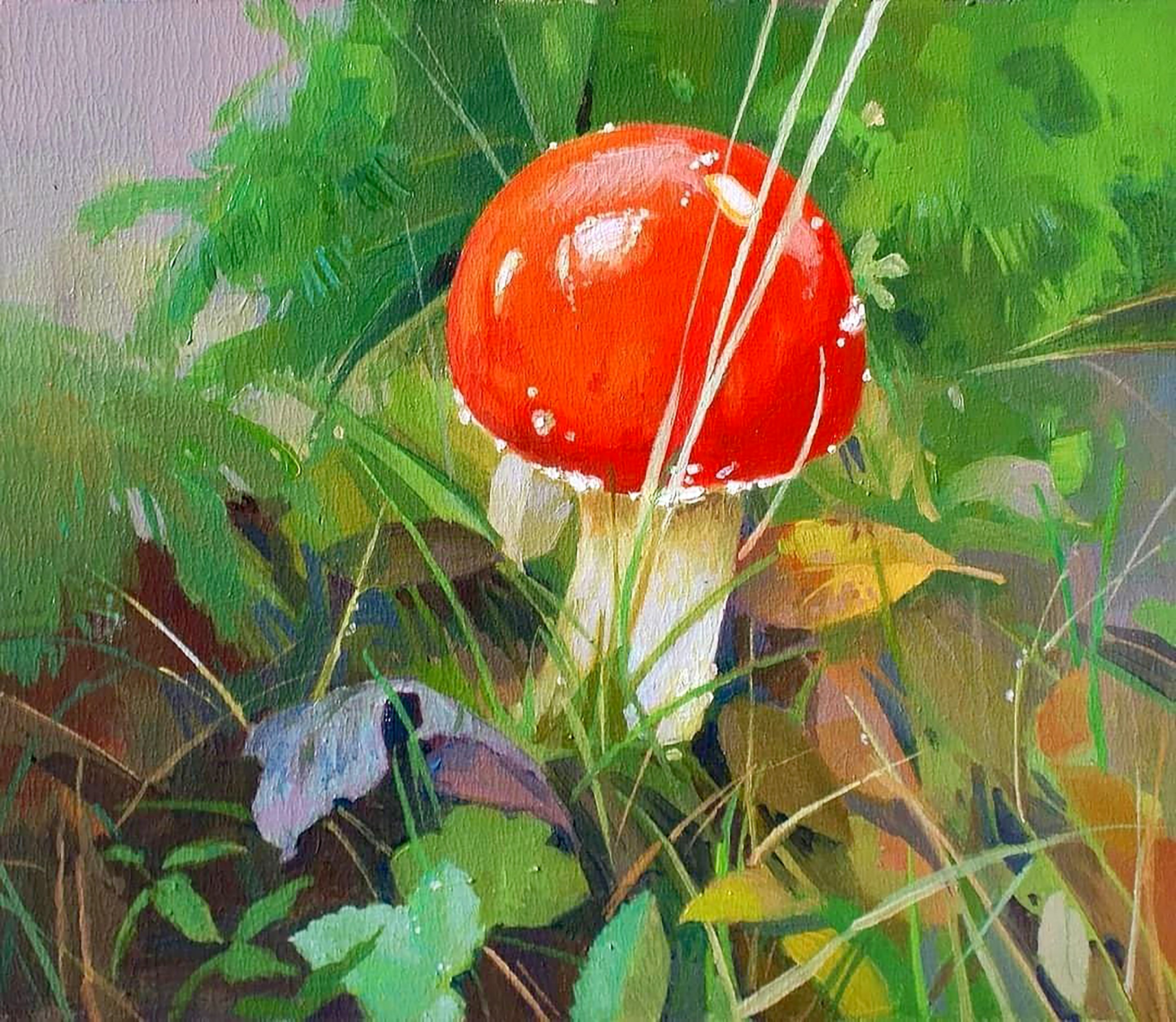 Yaroshevich Anastasia, Mountain mushroom Yaroshevich Anastasia, Mountain mushroom