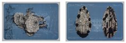 Painting, Untitled Diptych. From The Durero Series, Ana Seggiaro