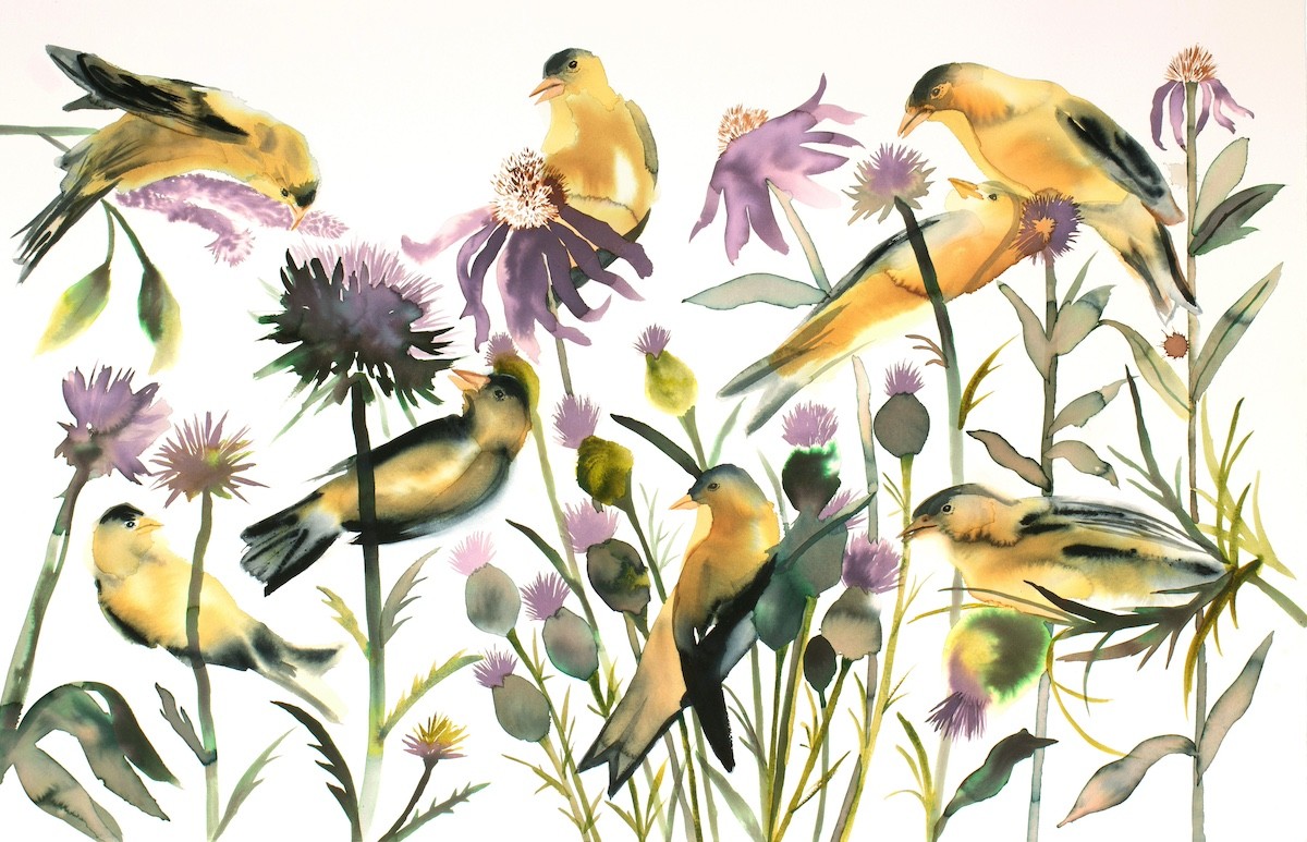 Elizabeth Becker, Goldfinches Elizabeth Becker, Goldfinches