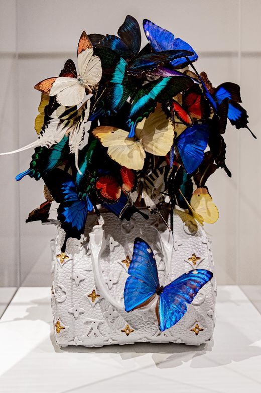 Carolien Bosch