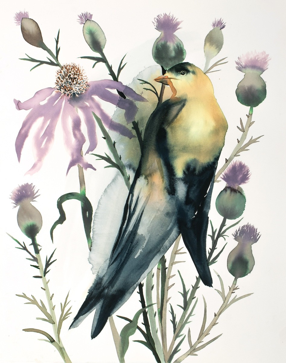Elizabeth Becker, Goldfinch No. 3 Elizabeth Becker, Goldfinch No. 3