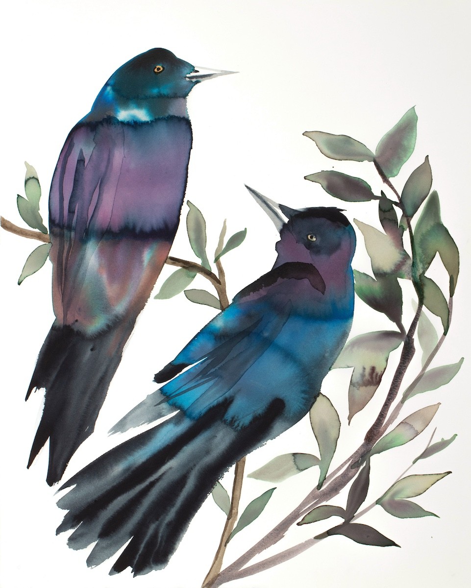 Elizabeth Becker, Grackles No. 3 Elizabeth Becker, Grackles No. 3