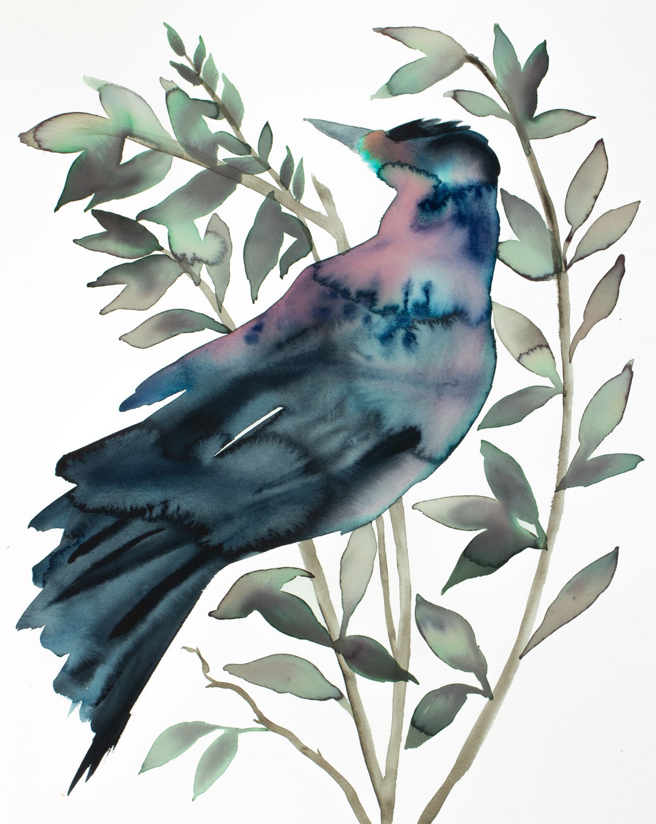 Elizabeth Becker, Grackle No. 3 Elizabeth Becker, Grackle No. 3