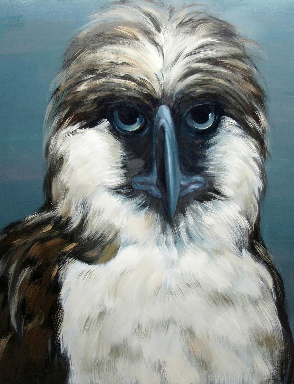 Konovalov Igor, Bird Konovalov Igor, Bird