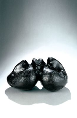 Sculpture, S044 Une bouche pour deux, Jacques Tenenhaus