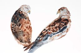 Gemälde, Two Hawks, Elizabeth Becker