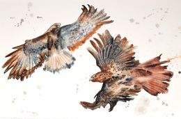 Painting, Flying Hawks, Elizabeth Becker