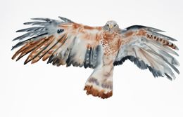 Gemälde, Flying Hawk No. 2, Elizabeth Becker