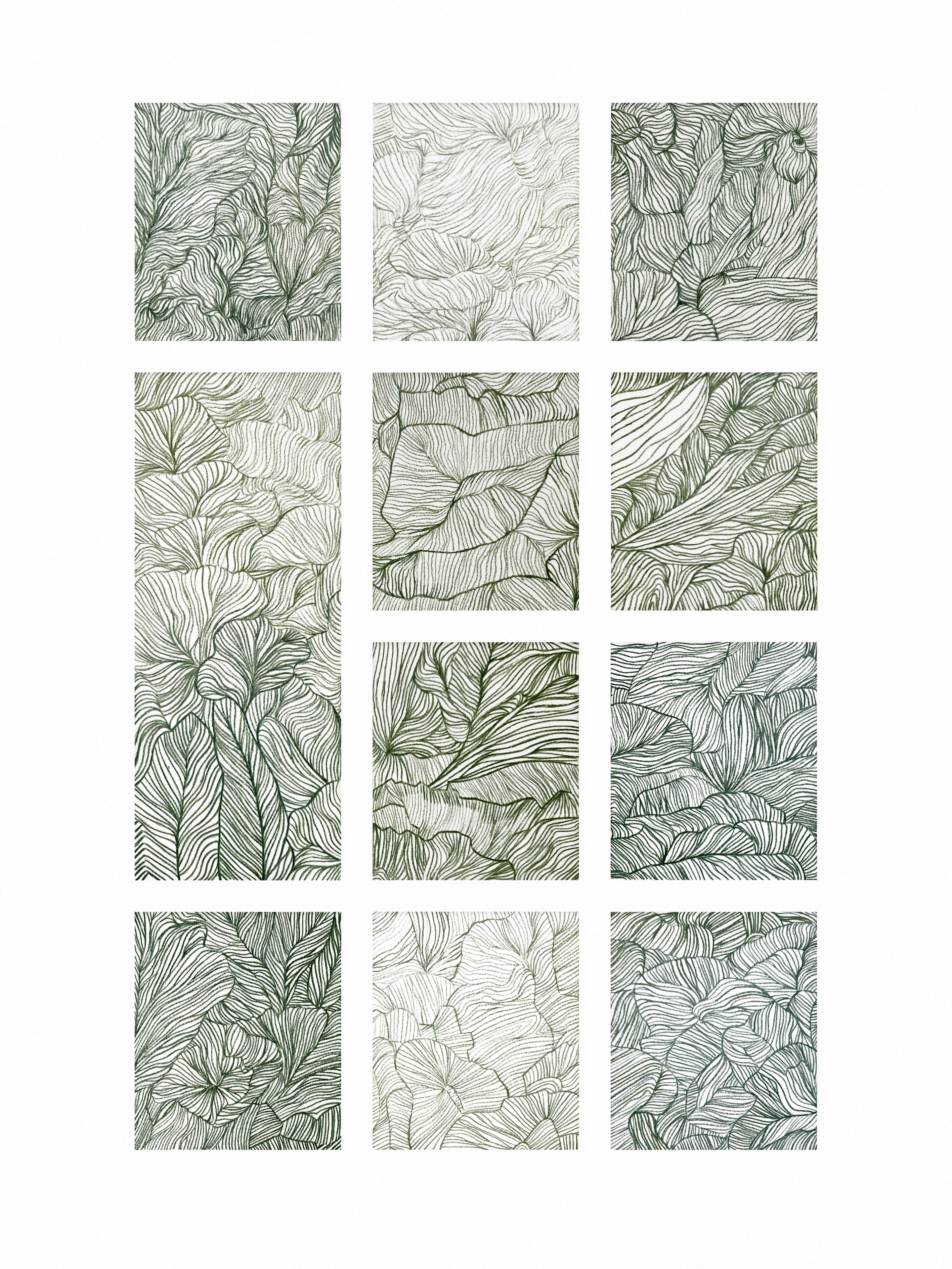 Aurélie Trabaud, Lignes&Feuilles Aurélie Trabaud, Lignes&Feuilles