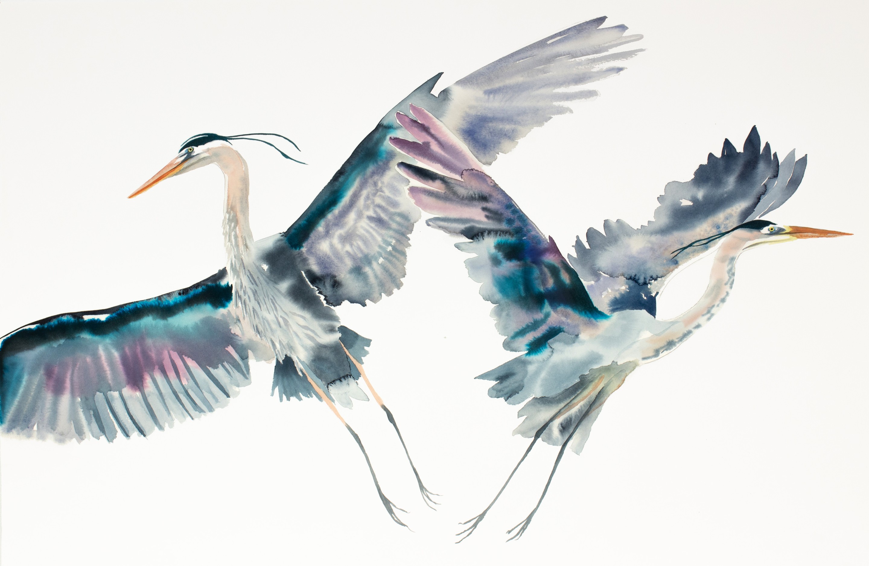Elizabeth Becker, Herons in Flight No. 3 Elizabeth Becker, Herons in Flight No. 3