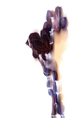 Print, Dreams II, María Cano