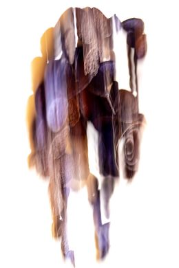 Édition, Dreams VI, María Cano