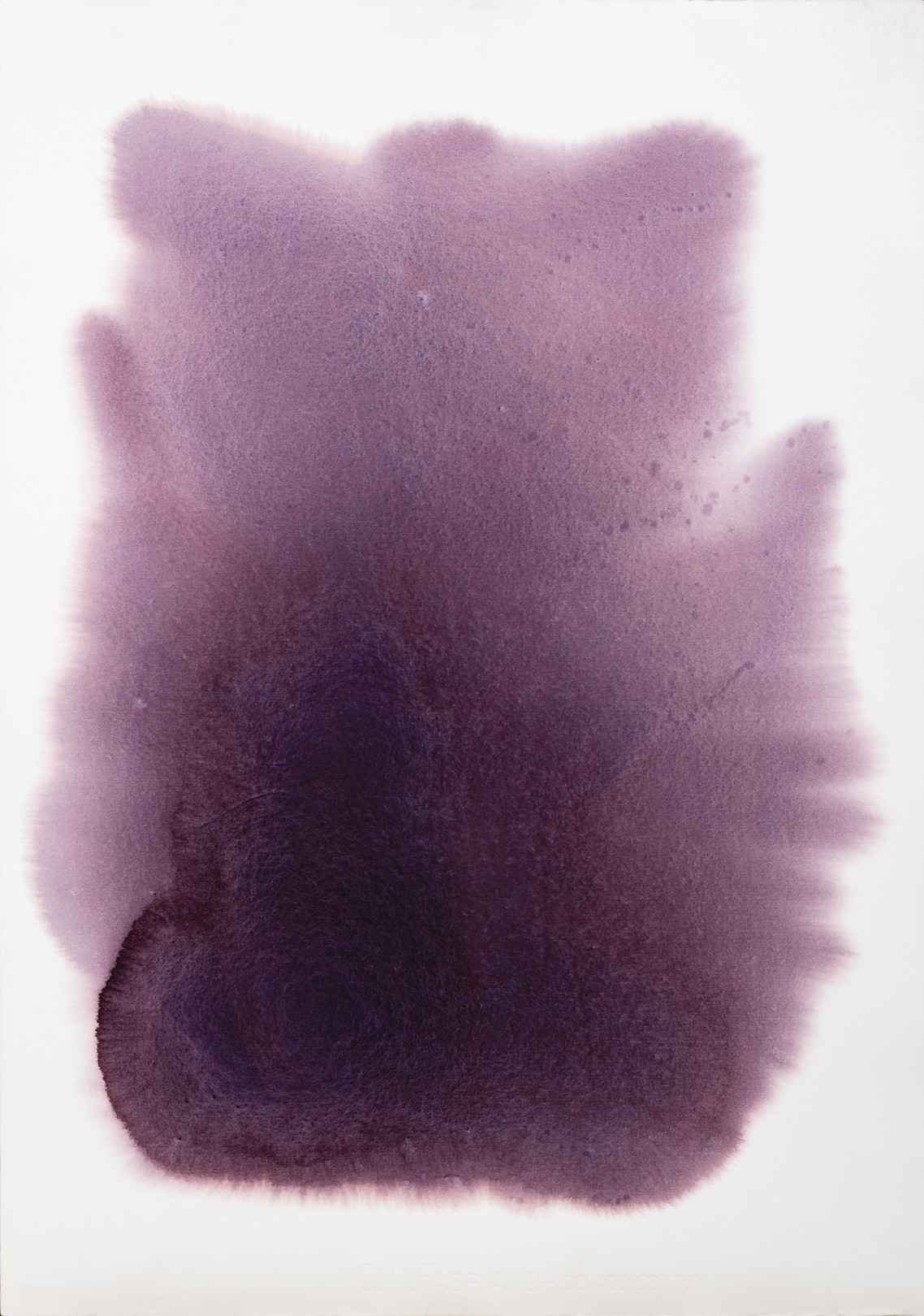 Cecilia Adela Anich Dalenz, Obra 11 Cecilia Adela Anich Dalenz, Obra 11