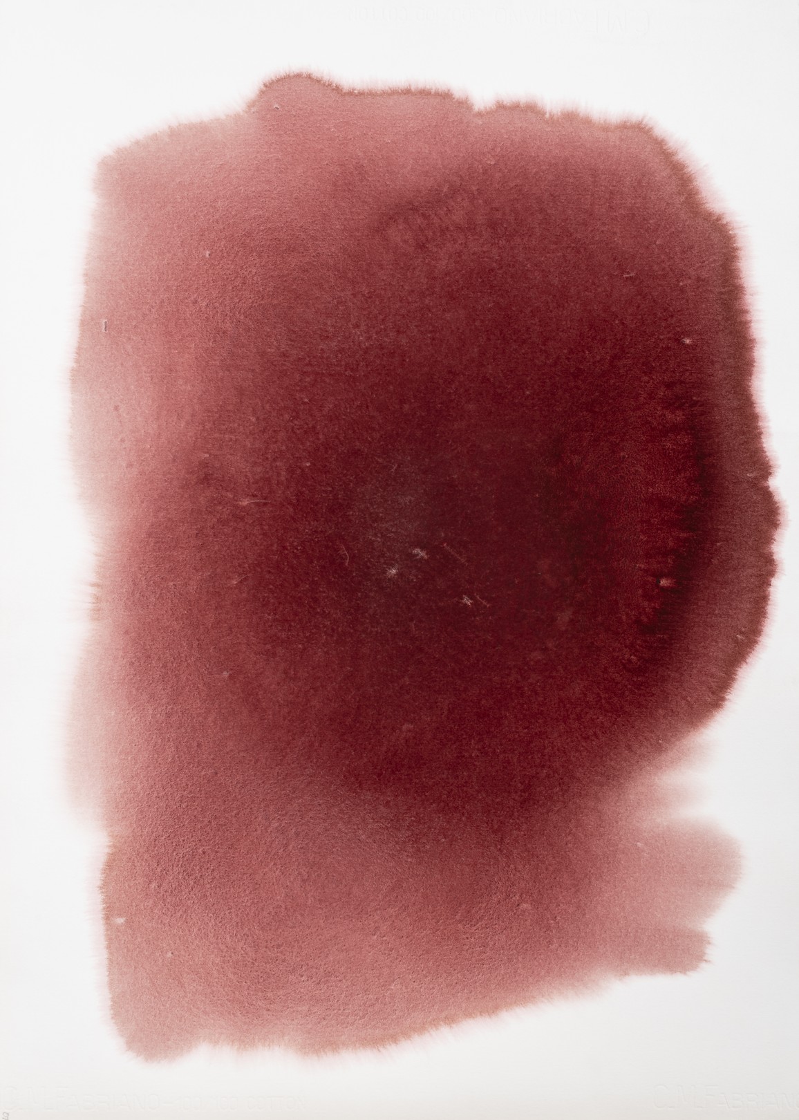 Cecilia Adela Anich Dalenz, Obra 3 Cecilia Adela Anich Dalenz, Obra 3