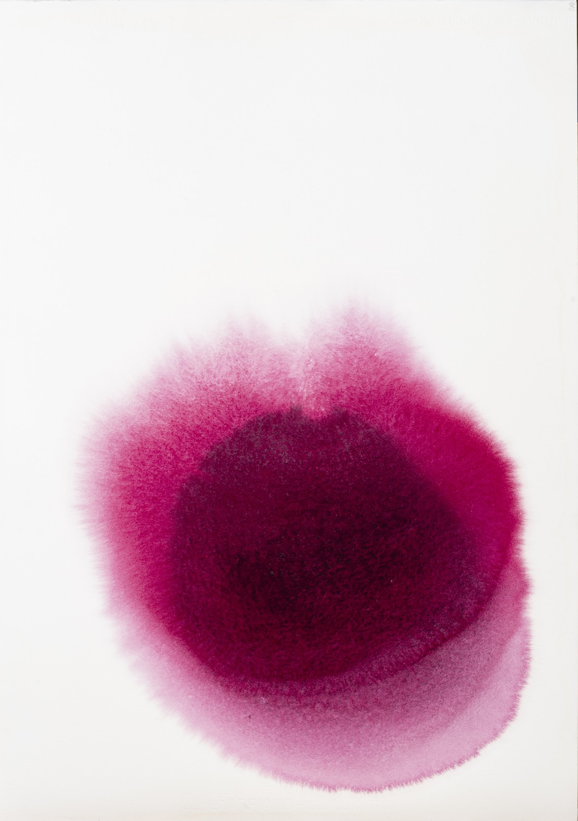 Cecilia Adela Anich Dalenz, Obra 12 Cecilia Adela Anich Dalenz, Obra 12