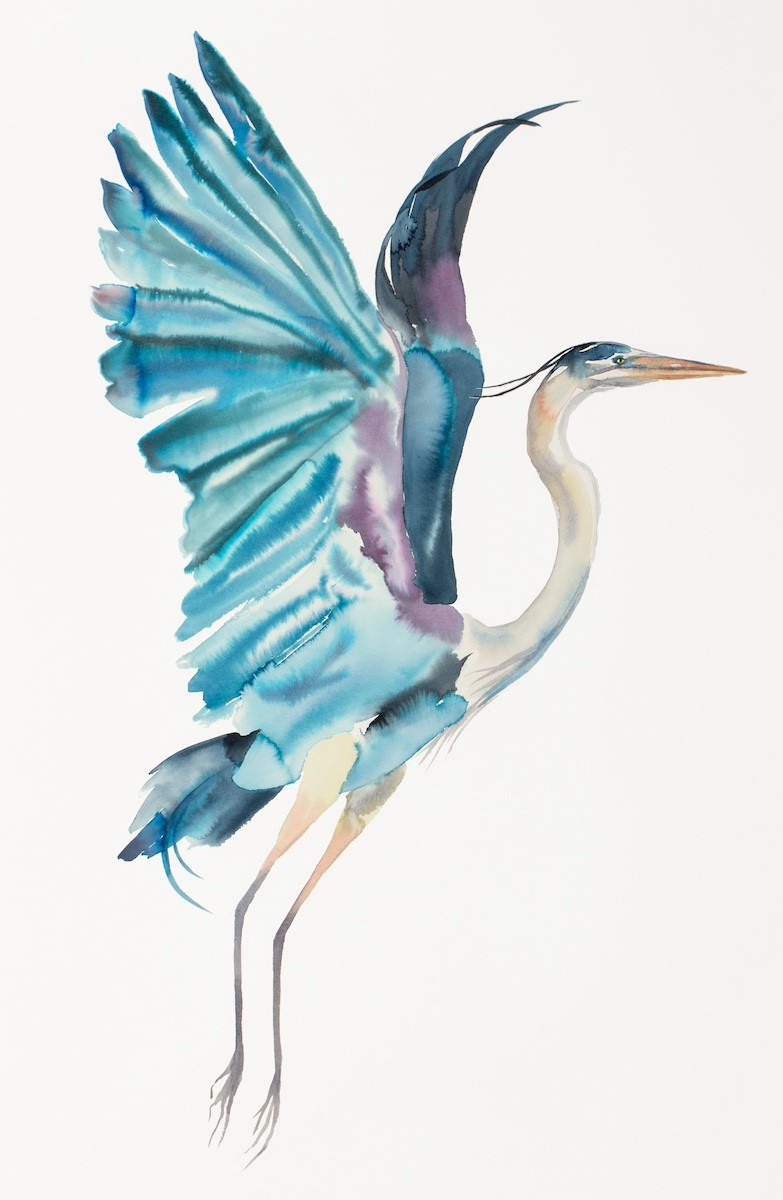 Elizabeth Becker, Heron in Flight Elizabeth Becker, Heron in Flight