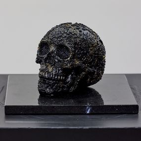 Sculpture, Flower skull black diamond, Angela Gomes