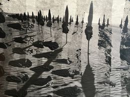 Fotografien, Sous les planches, Regis Duvignau